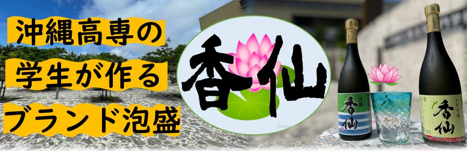 航空技術者プログラム